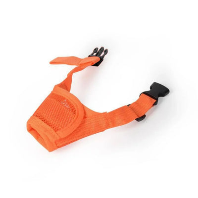 https://cdn.shopify.com/s/files/1/0647/9170/7830/files/museliere-anti-aboiement-pour-petit-chien-4757038.webp?v=1777925528