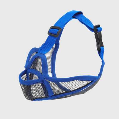 https://cdn.shopify.com/s/files/1/0763/9767/4819/files/museliere_bouledogue_francais_bleue.png?v=1762349192