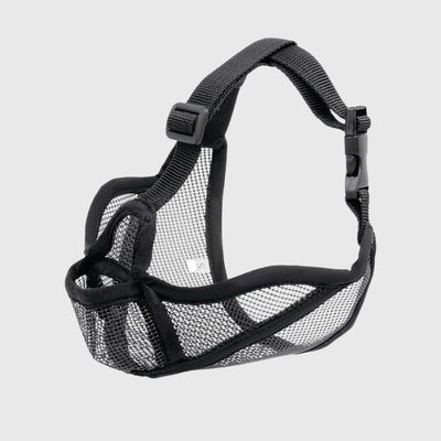 https://cdn.shopify.com/s/files/1/0763/9767/4819/files/museliere_bouledogue_francais_modele_noire.png?v=1762349192