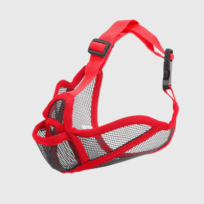https://cdn.shopify.com/s/files/1/0763/9767/4819/files/museliere_bouledogue_francais_rouge.png?v=1762349192