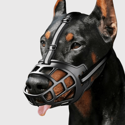 https://cdn.shopify.com/s/files/1/0763/9767/4819/files/museliere_chien_baskerville_modele_doberman.png?v=1756229743