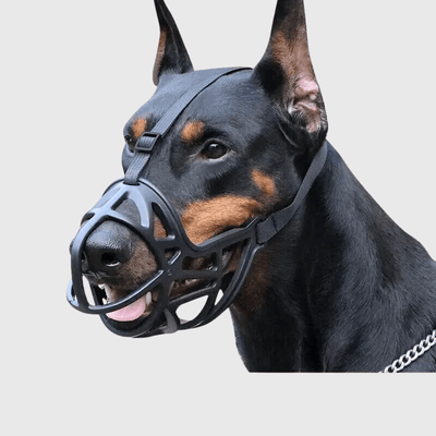 https://cdn.shopify.com/s/files/1/0763/9767/4819/files/museliere_chien_baskerville_noir.png?v=1756229743
