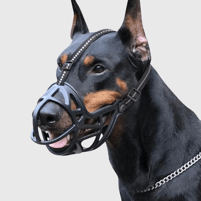 https://cdn.shopify.com/s/files/1/0763/9767/4819/files/museliere_chien_baskerville_noir_a_traits.png?v=1756229743