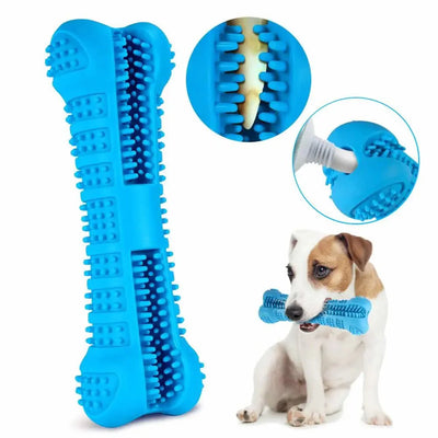 https://cdn.shopify.com/s/files/1/0647/9170/7830/files/os-brosse-a-dent-pour-chien-5921842.webp?v=1777925471