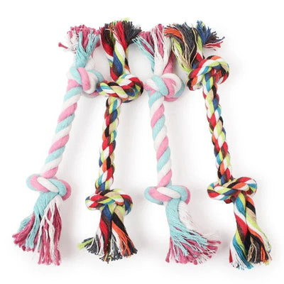 https://cdn.shopify.com/s/files/1/0647/9170/7830/files/os-en-corde-avec-couleur-mystere-4066334.webp?v=1777925230