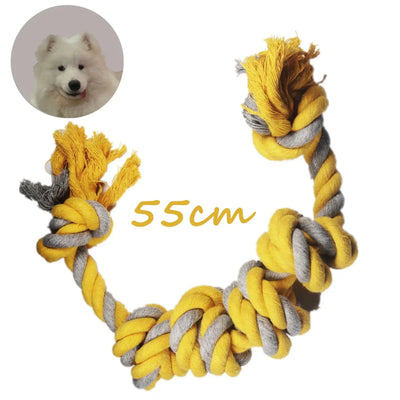 https://cdn.shopify.com/s/files/1/0647/9170/7830/files/os-en-corde-pour-gros-chien-8128350.webp?v=1777925590