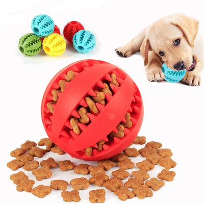 https://cdn.shopify.com/s/files/1/0489/2898/1148/files/p1_5e82987f-45d2-4a87-9bbe-9c6663dc50fd.jpg?v=1744538228