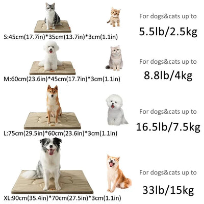 https://cdn.shopify.com/s/files/1/0647/9170/7830/files/panier-anti-stress-chien-pas-cher-2508061.webp?v=1777923316