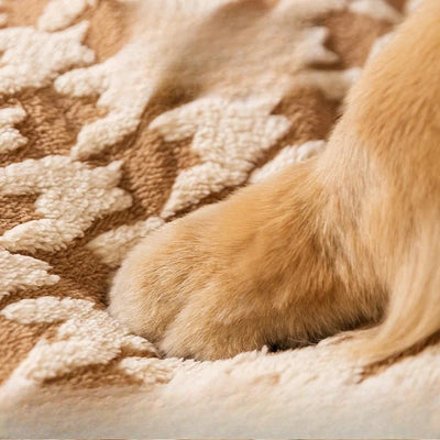 https://cdn.shopify.com/s/files/1/0647/9170/7830/files/panier-avec-toit-pour-chien-1762119.webp?v=1777923913