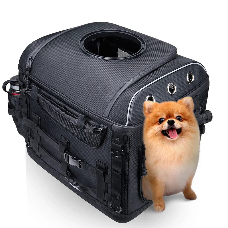 https://cdn.shopify.com/s/files/1/0647/9170/7830/files/panier-chien-moto-6912913.webp?v=1777923131
