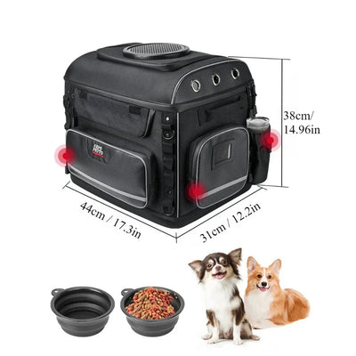 https://cdn.shopify.com/s/files/1/0647/9170/7830/files/panier-chien-moto-6558632.webp?v=1777923131