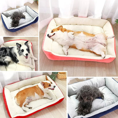 https://cdn.shopify.com/s/files/1/0647/9170/7830/files/panier-chien-xxl-indestructible-2694482.webp?v=1777924271