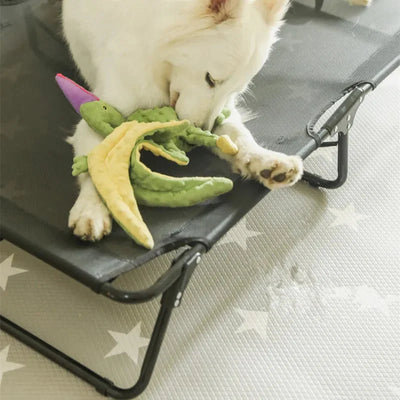 https://cdn.shopify.com/s/files/1/0647/9170/7830/files/panier-dur-pour-chien-4369595.webp?v=1777923788