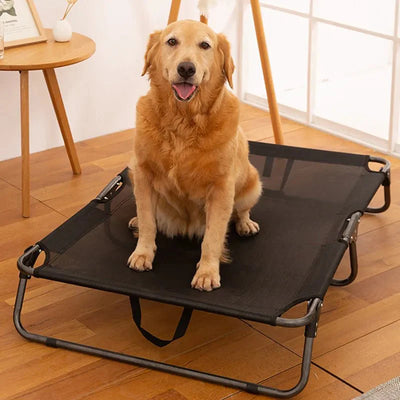 https://cdn.shopify.com/s/files/1/0647/9170/7830/files/panier-dur-pour-chien-9599293.webp?v=1777923789