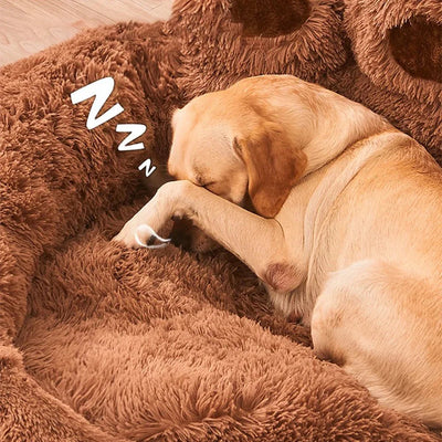 https://cdn.shopify.com/s/files/1/0647/9170/7830/files/panier-en-forme-de-patte-pour-chien-5023146.webp?v=1777925528