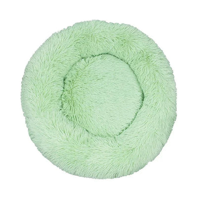 https://cdn.shopify.com/s/files/1/0647/9170/7830/files/panier-fluffyy-pour-grand-chien-2702083.webp?v=1777924279
