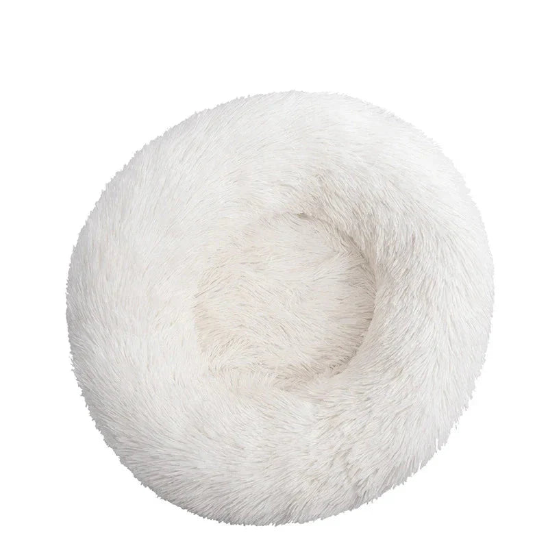 https://cdn.shopify.com/s/files/1/0647/9170/7830/files/panier-fluffyy-pour-grand-chien-2550176.webp?v=1777924278