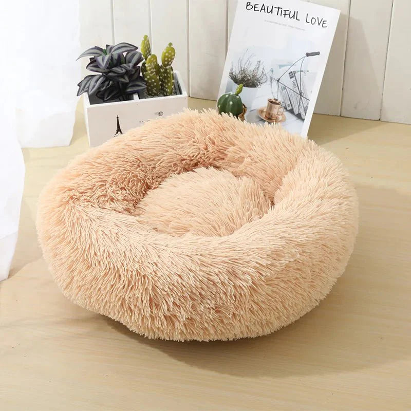 https://cdn.shopify.com/s/files/1/0647/9170/7830/files/panier-pour-chien-beige-2349726.webp?v=1777924511