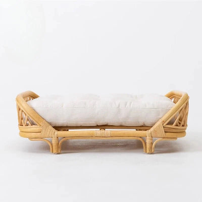 https://cdn.shopify.com/s/files/1/0647/9170/7830/files/panier-pour-chien-en-rotin-4886230.webp?v=1777923255