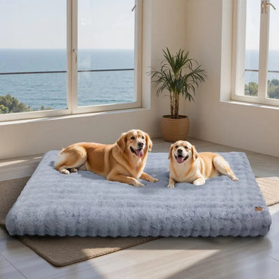 https://cdn.shopify.com/s/files/1/0647/9170/7830/files/panier-pour-chien-entierement-dehoussable-4996153.webp?v=1777923790