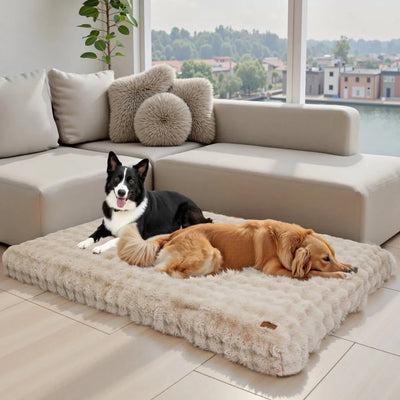 https://cdn.shopify.com/s/files/1/0647/9170/7830/files/panier-pour-chien-entierement-dehoussable-8584201.webp?v=1777923790