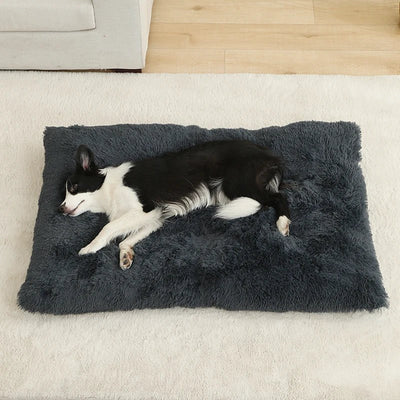 https://cdn.shopify.com/s/files/1/0647/9170/7830/files/panier-pour-chien-rectangulaire-4670051.webp?v=1777923608