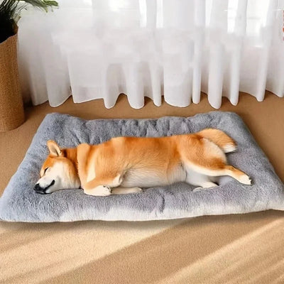 https://cdn.shopify.com/s/files/1/0647/9170/7830/files/panier-pour-chien-xxl-dehoussable-3228035.webp?v=1777924330