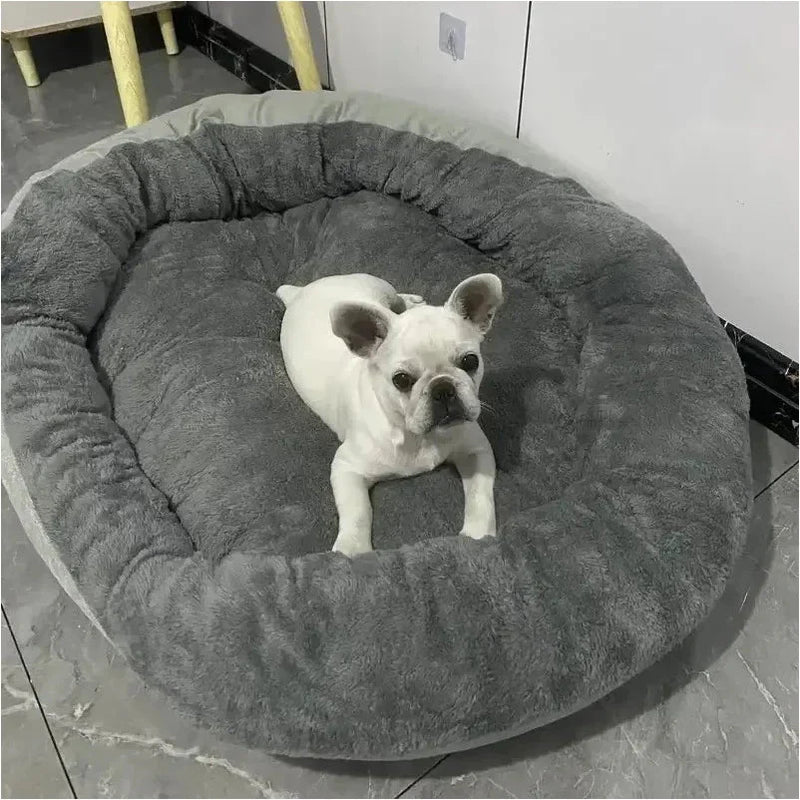 https://cdn.shopify.com/s/files/1/0647/9170/7830/files/panier-pour-petit-chien-chihuahua-5948049.webp?v=1777923494