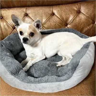 https://cdn.shopify.com/s/files/1/0647/9170/7830/files/panier-pour-petit-chien-chihuahua-3919510.webp?v=1777923494