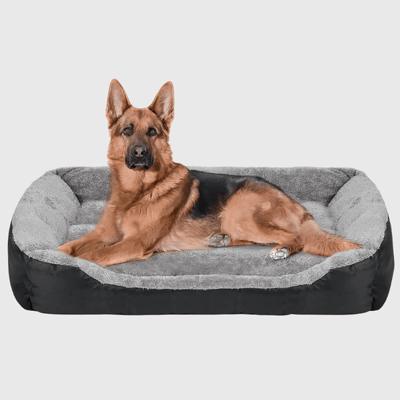 https://cdn.shopify.com/s/files/1/0763/9767/4819/files/panier_pour_grand_chien_berger_allemand.png?v=1747840497