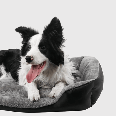 https://cdn.shopify.com/s/files/1/0763/9767/4819/files/panier_pour_grand_chien_border_collie.png?v=1747840497