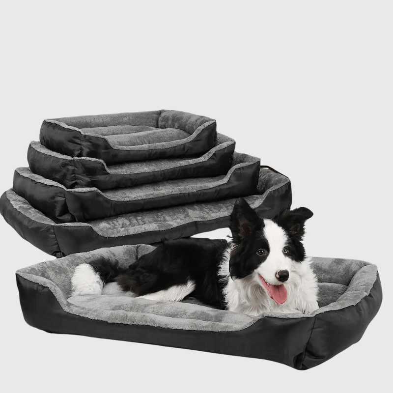 https://cdn.shopify.com/s/files/1/0763/9767/4819/files/Panier_pour_grand_chien_berger_malinois.png?v=1747840524