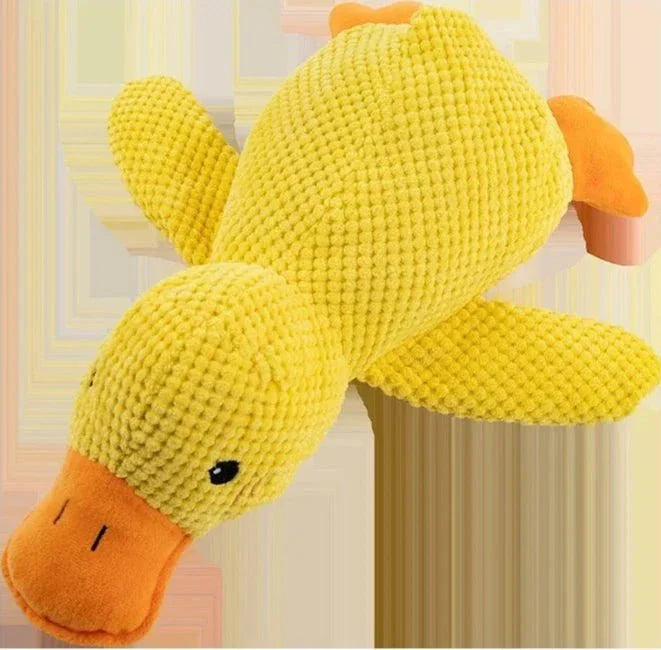 https://cdn.shopify.com/s/files/1/0647/9170/7830/files/peluche-canard-pour-chiot-5899077.webp?v=1777925349