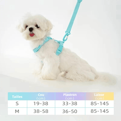 https://cdn.shopify.com/s/files/1/0647/9170/7830/files/petit-harnais-pour-chihuahua-4127494.png?v=1777924812