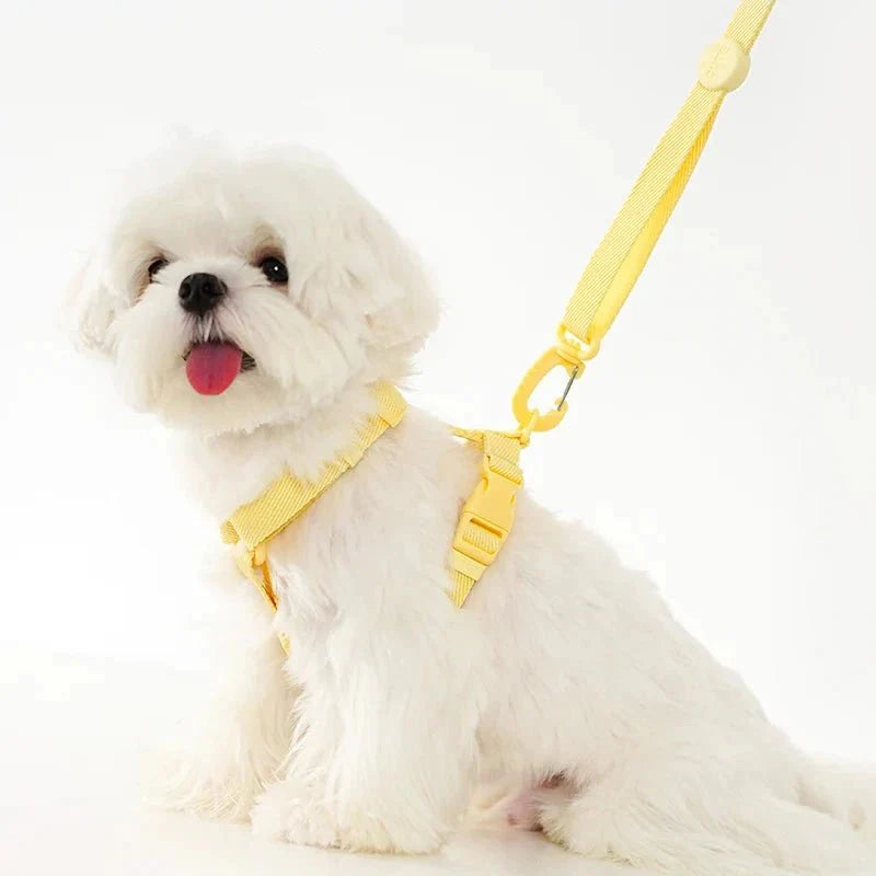https://cdn.shopify.com/s/files/1/0647/9170/7830/files/petit-harnais-pour-chihuahua-8458634.webp?v=1777924812