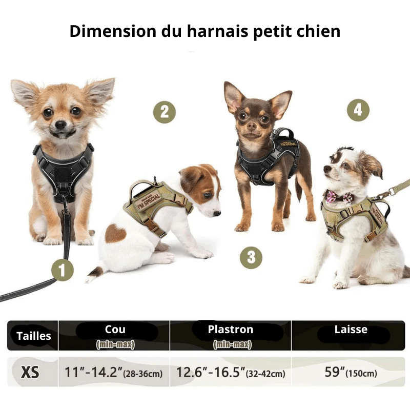 https://cdn.shopify.com/s/files/1/0647/9170/7830/files/petit-harnais-pour-petit-chien-6559992.webp?v=1777925349
