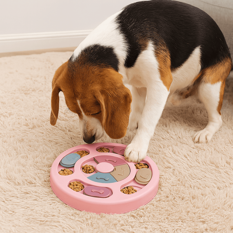 https://cdn.shopify.com/s/files/1/0647/9170/7830/files/petit-puzzle-rond-pour-chien-1081837.webp?v=1777925171