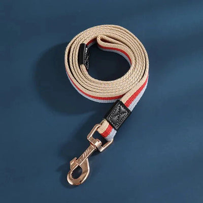 https://cdn.shopify.com/s/files/1/0647/9170/7830/files/petite-laisse-pour-chiot-2317675.webp?v=1777924393