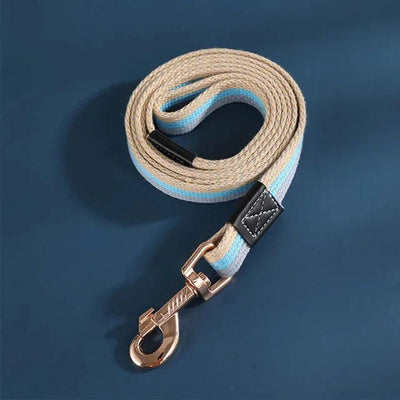 https://cdn.shopify.com/s/files/1/0647/9170/7830/files/petite-laisse-pour-chiot-3059179.webp?v=1777924393
