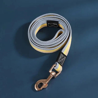 https://cdn.shopify.com/s/files/1/0647/9170/7830/files/petite-laisse-pour-chiot-5537104.webp?v=1777924392