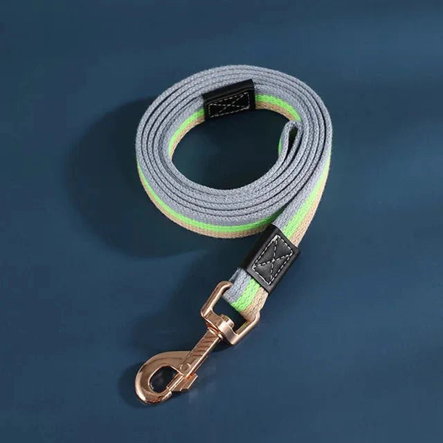 https://cdn.shopify.com/s/files/1/0647/9170/7830/files/petite-laisse-pour-chiot-9048069.webp?v=1777924393