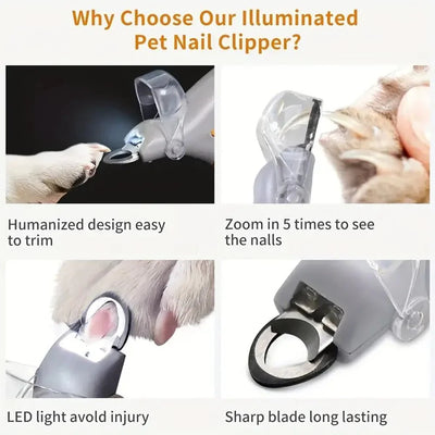 https://cdn.shopify.com/s/files/1/0647/9170/7830/files/pince-pour-couper-les-ongles-de-chien-3384805.webp?v=1777923488
