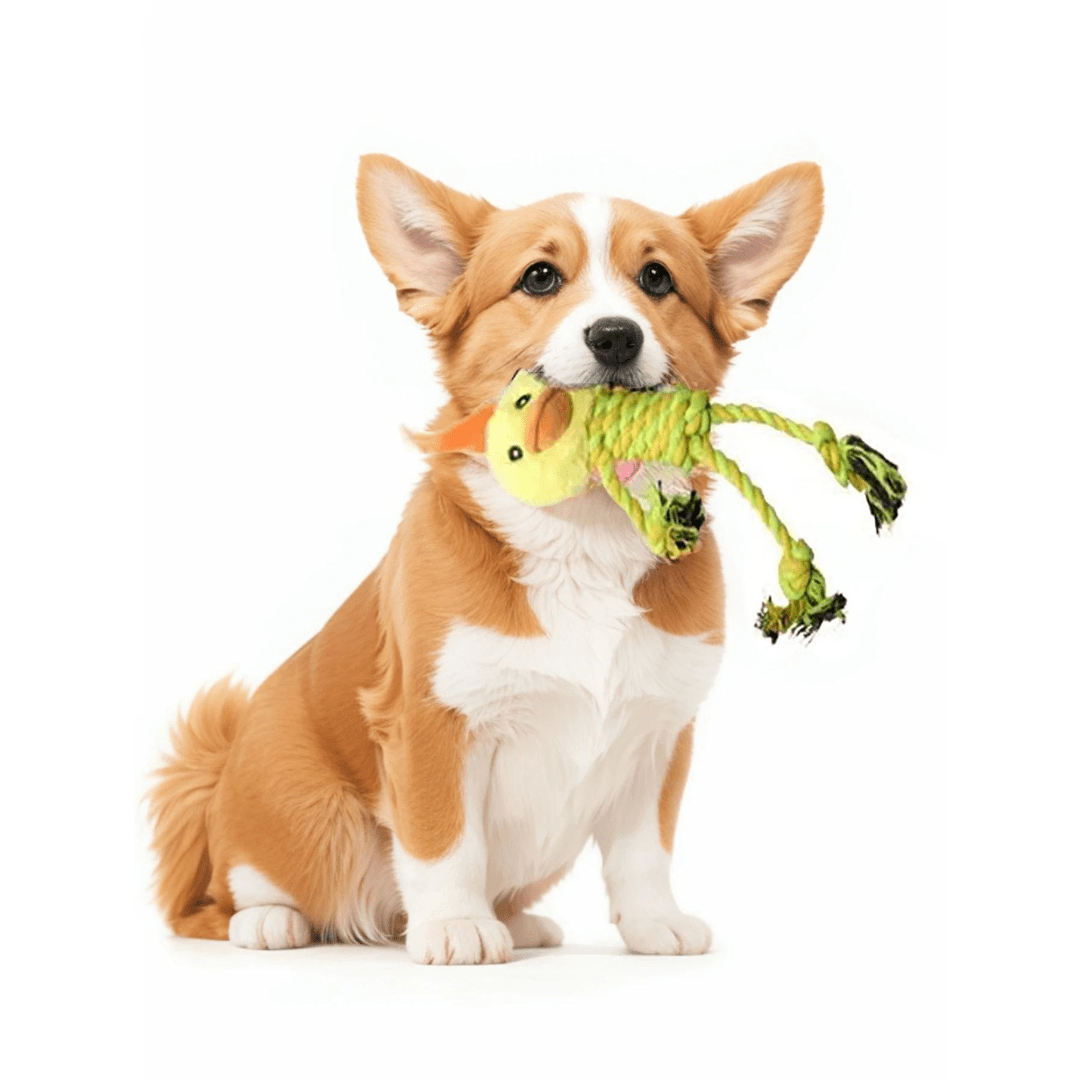 https://cdn.shopify.com/s/files/1/0489/2898/1148/files/plushkopf2_2413444a-6831-4005-8de6-d26e80febb03.png?v=1744538224
