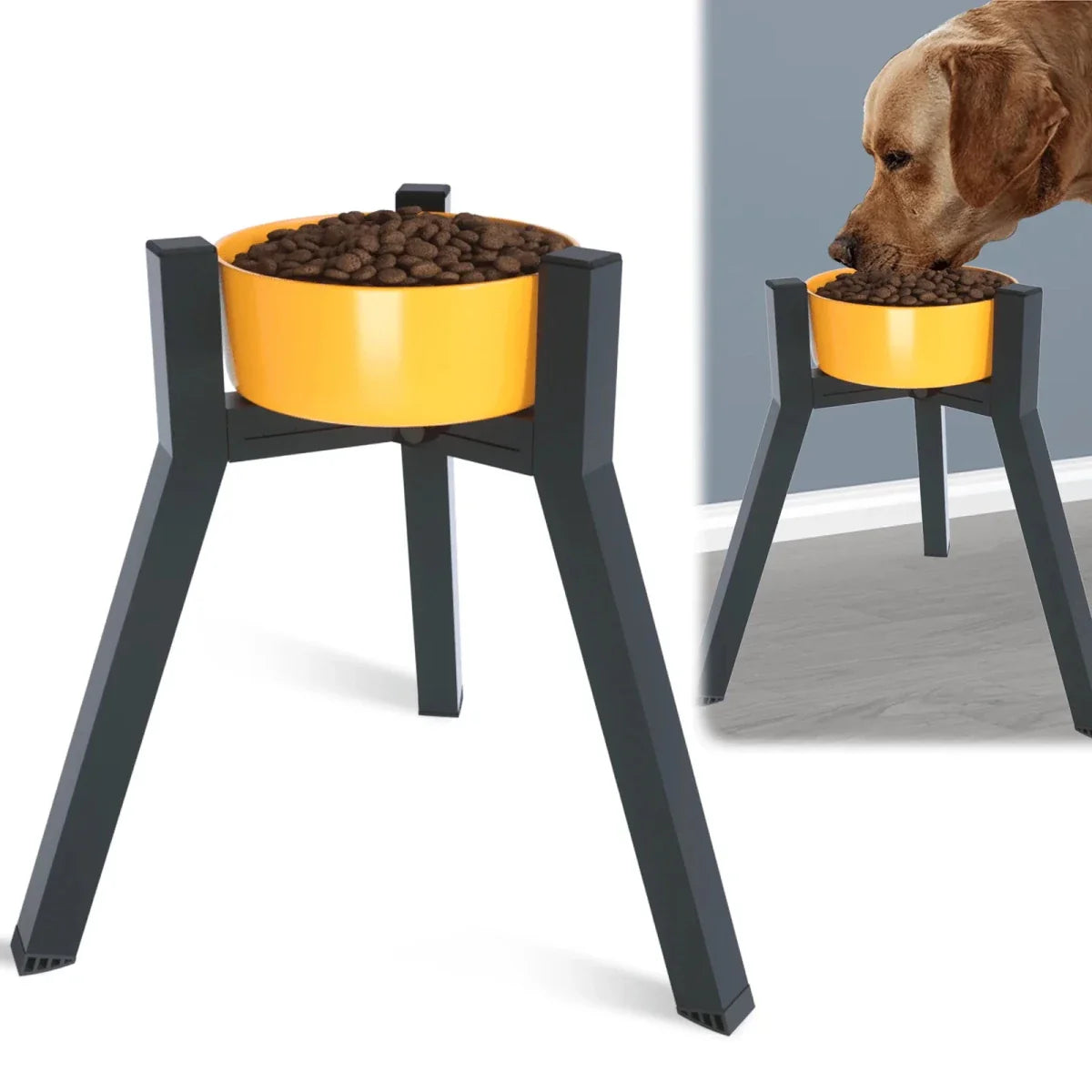https://cdn.shopify.com/s/files/1/0647/9170/7830/files/porte-gamelle-chien-9781601.webp?v=1777923128