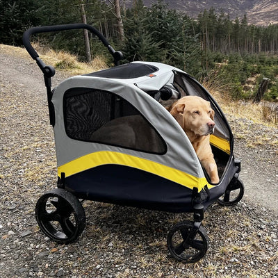 Poussette pour chien 4 roues