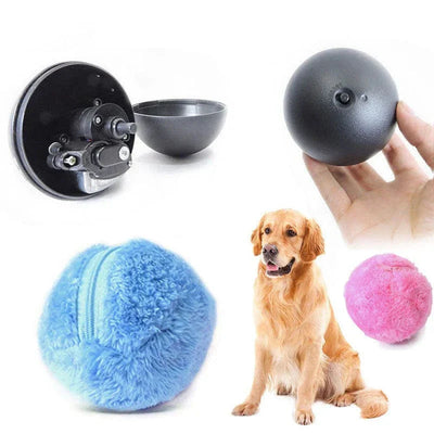 https://cdn.shopify.com/s/files/1/0489/2898/1148/files/product-image-1240884252.webp?v=1744537707