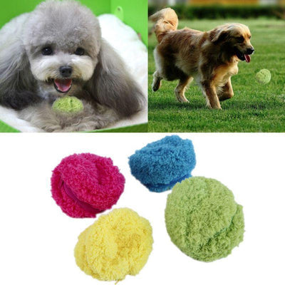 https://cdn.shopify.com/s/files/1/0489/2898/1148/files/product-image-1240884253.jpg?v=1744537695