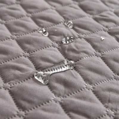 https://cdn.shopify.com/s/files/1/0647/9170/7830/files/protection-de-canape-pour-chien-3928236.webp?v=1777924455