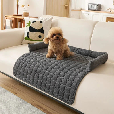 https://cdn.shopify.com/s/files/1/0647/9170/7830/files/protege-canape-pour-chien-1137063.webp?v=1777923252