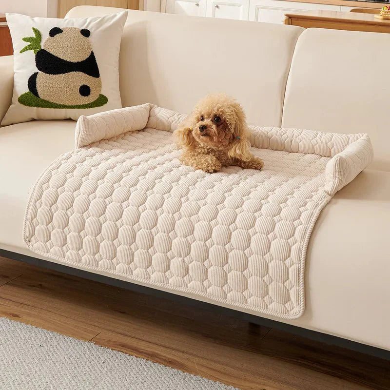 https://cdn.shopify.com/s/files/1/0647/9170/7830/files/protege-canape-pour-chien-5396193.webp?v=1777923253